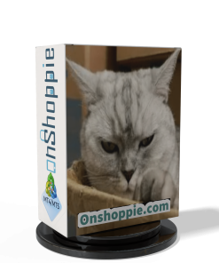 HUNTING CAT SCALPER EA