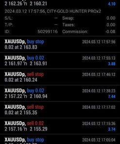 CITY-GOLD-HUNTER-PROx2-EA-Result1