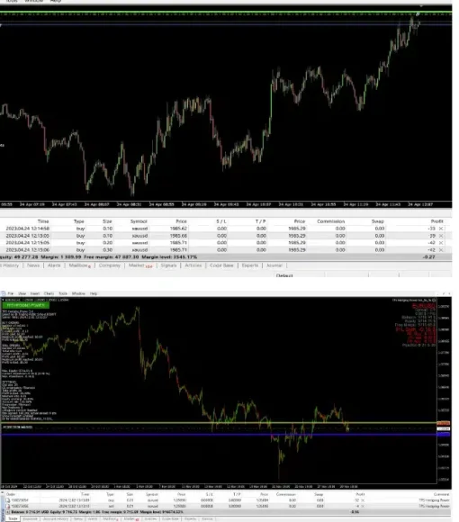 TPS Hedging Power EA