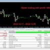 Gold SWmax EA