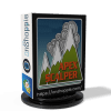 Apex Scalper EA