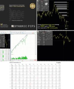 Dynamic Pips EA