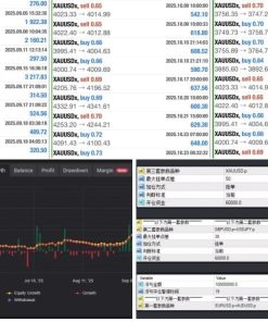 Chinese EA Scalping Version