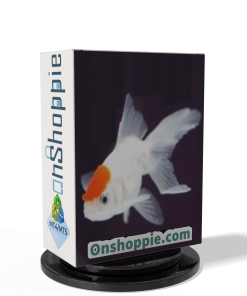 Fish n Grid EA