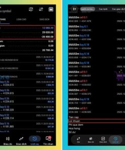 INSTITUTIONAL PREDICTIVE PRO EA