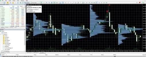 Invictus Strategy