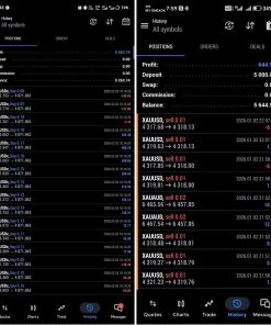 BTX SCALPER PRO EA