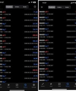 EXPERT YUVI FX TRADER