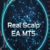 Real Scalp EA OnShoppie Real Scalp EA