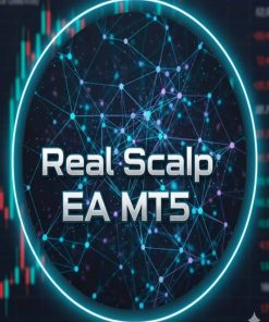 Real Scalp EA