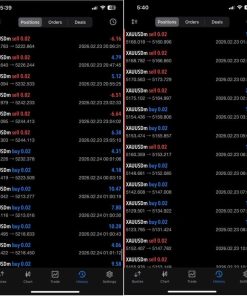 VELOZ SCALPING BOT