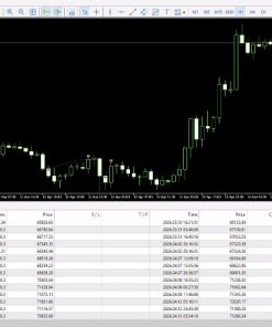 Bitcoin Robot Grid EA