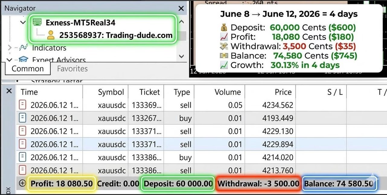 DudeAlphaGoldEAMT5UnlimitedSetFilesresults1 OnShoppie Dude Alpha Gold EA MT5 Unlimited